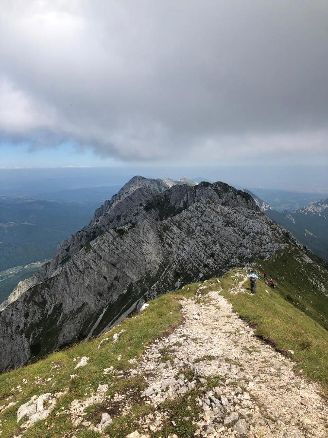 Pensiunea Aliart Zărneşti Esterno foto