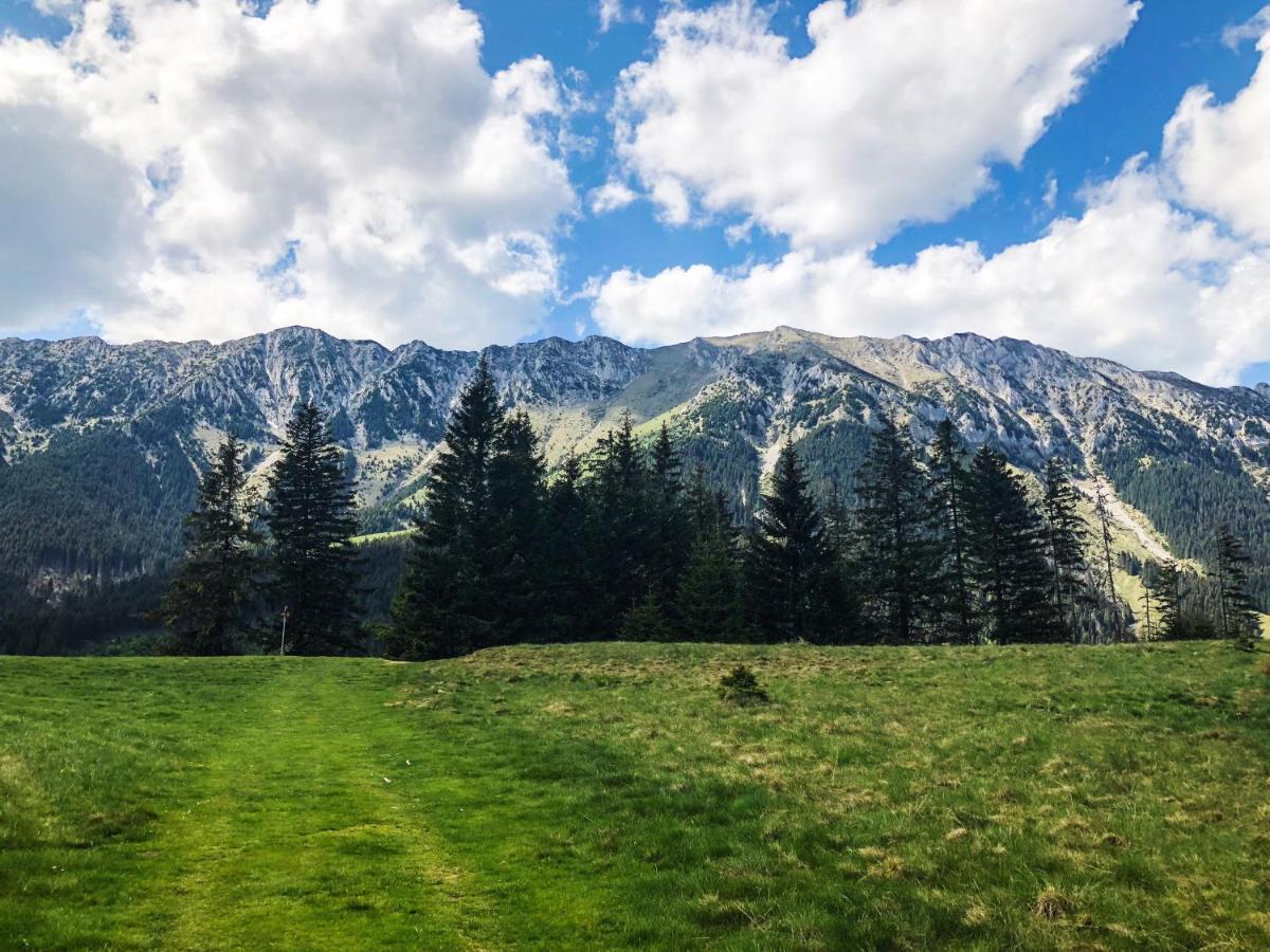 Pensiunea Aliart Zărneşti Esterno foto